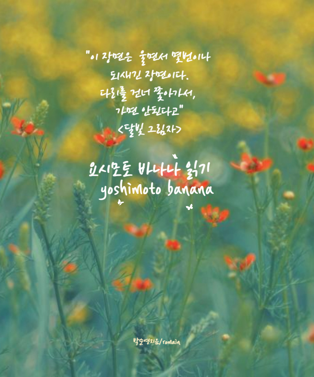 제목을 입력해주세요_-001 - 2025-02-26T171755.684.jpg