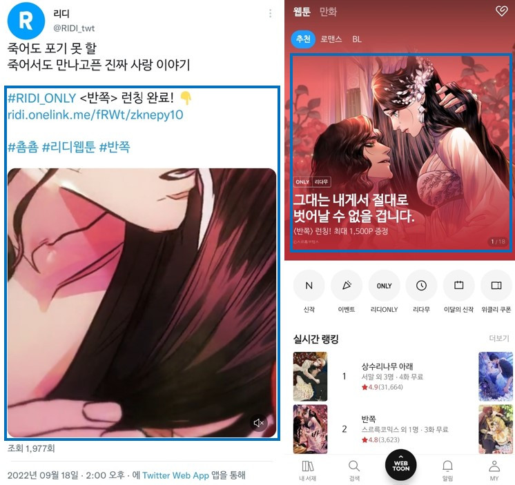 화면 캡처 2022-09-22 195003.jpg