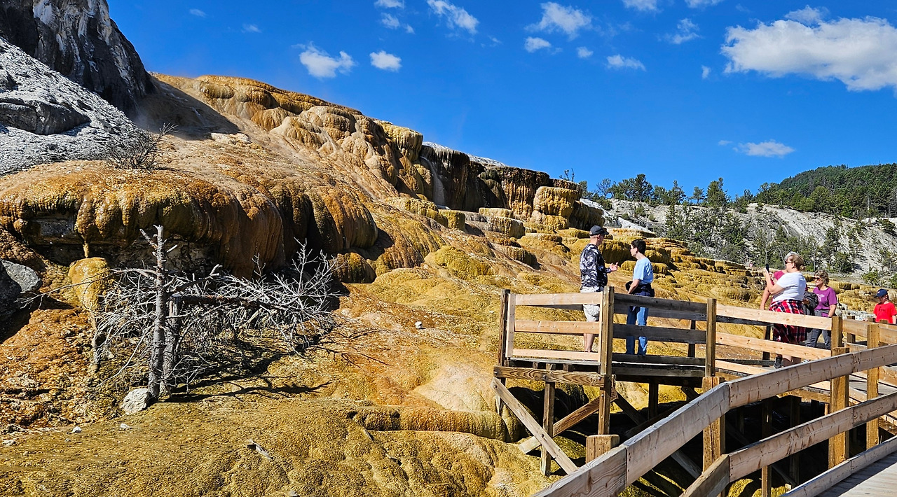 맘모스 테라스.jpg