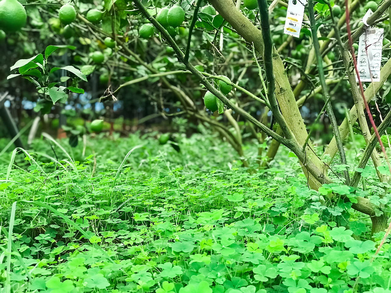 51233_1637912933 (1).jpg