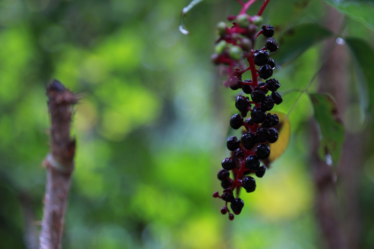 165571263_3876122729121216_7627316403920272841_n (1).jpg