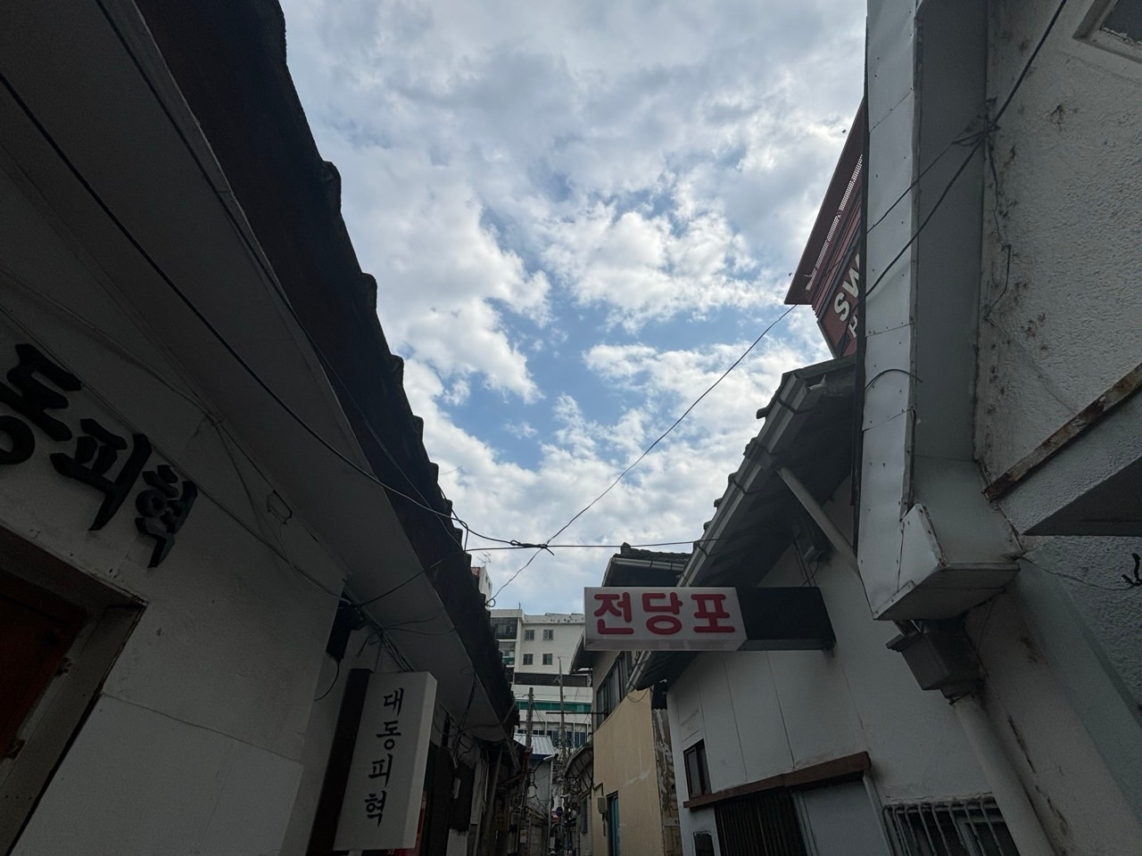 무료 카지노 게임