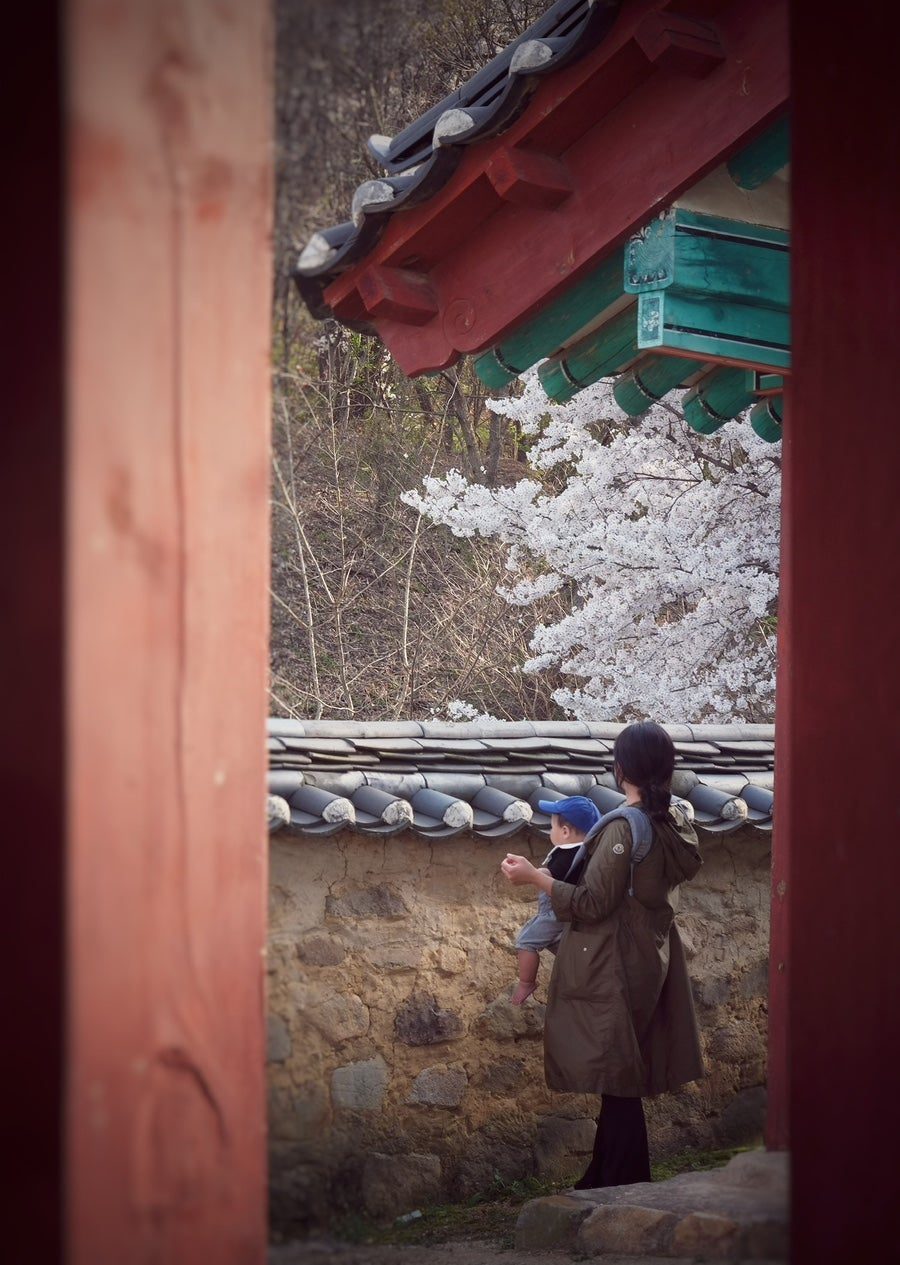 카지노 게임 사이트
