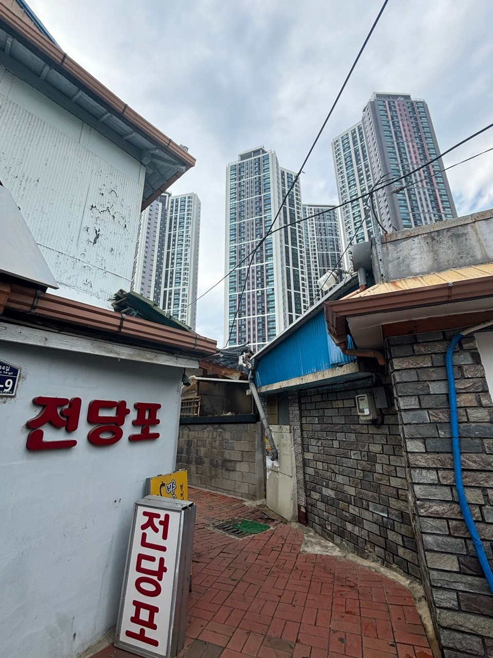 무료 카지노 게임