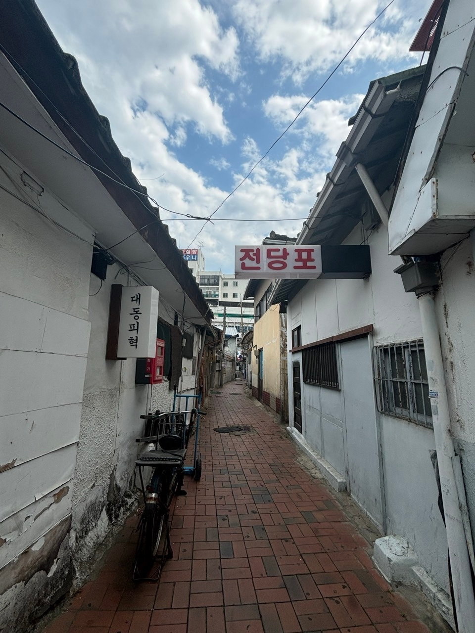 무료 카지노 게임
