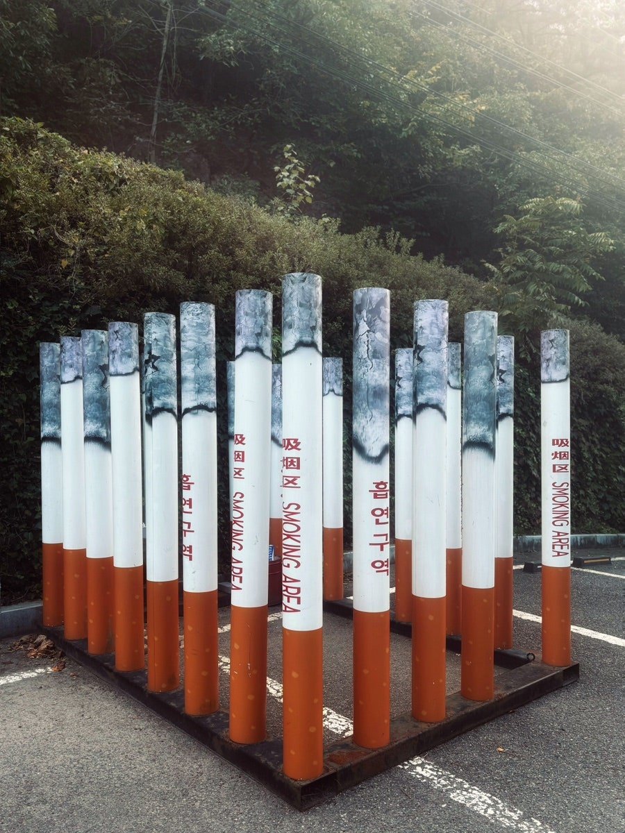 무료 카지노 게임