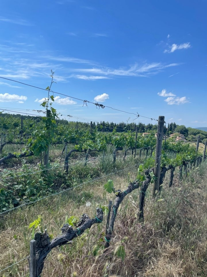 KakaoTalk_20221018_112128925 (1).jpg