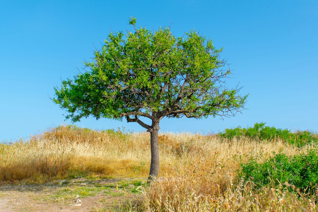 simon-ray-D3YnzFSUNN0-unsplash (1).jpg