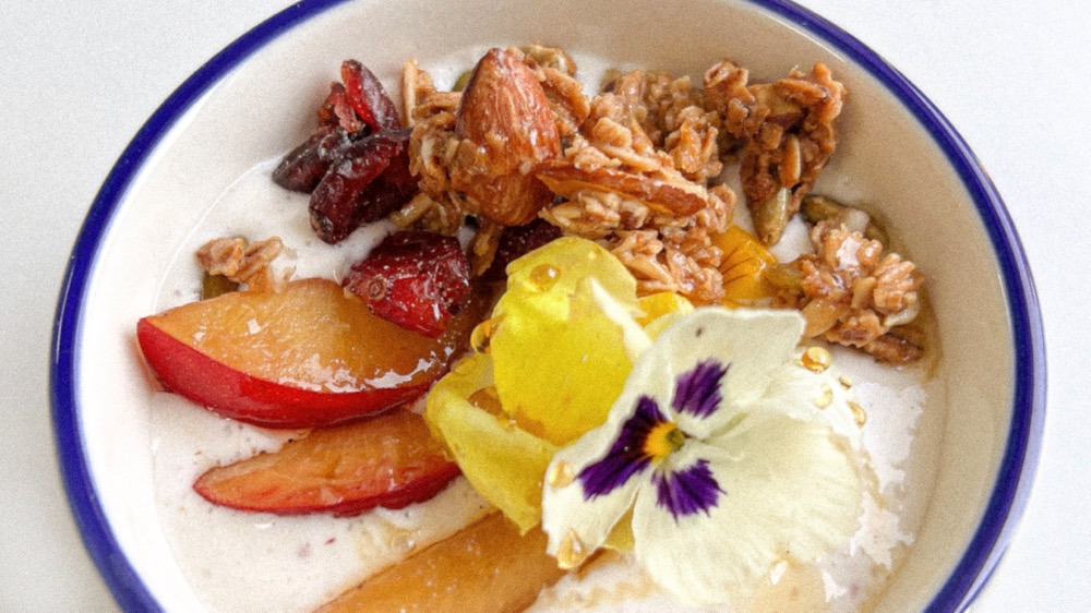 resize_Plum Yogurt_Image.jpg