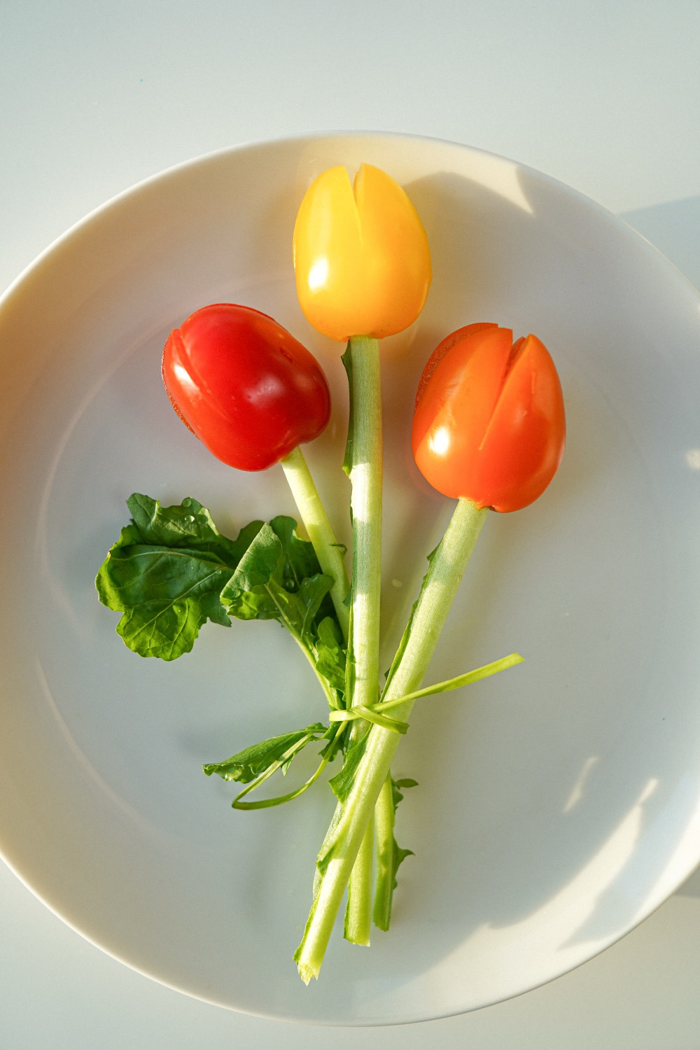 resize_Tomato tulips 1.jpg