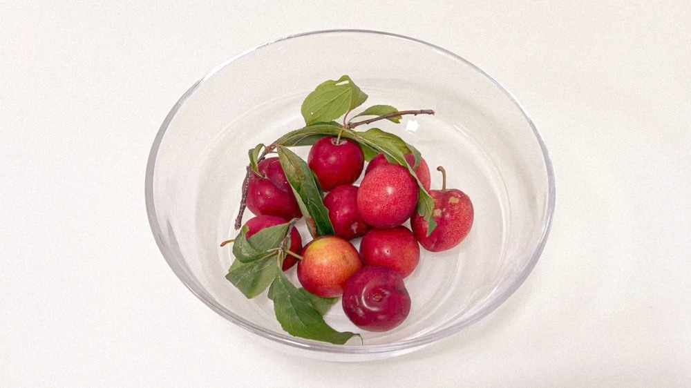 Resized_Plum Smoothie_Image2.jpg