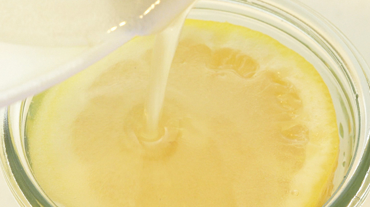 img_Lemon Salt ・ Lemon Syrup3.jpg