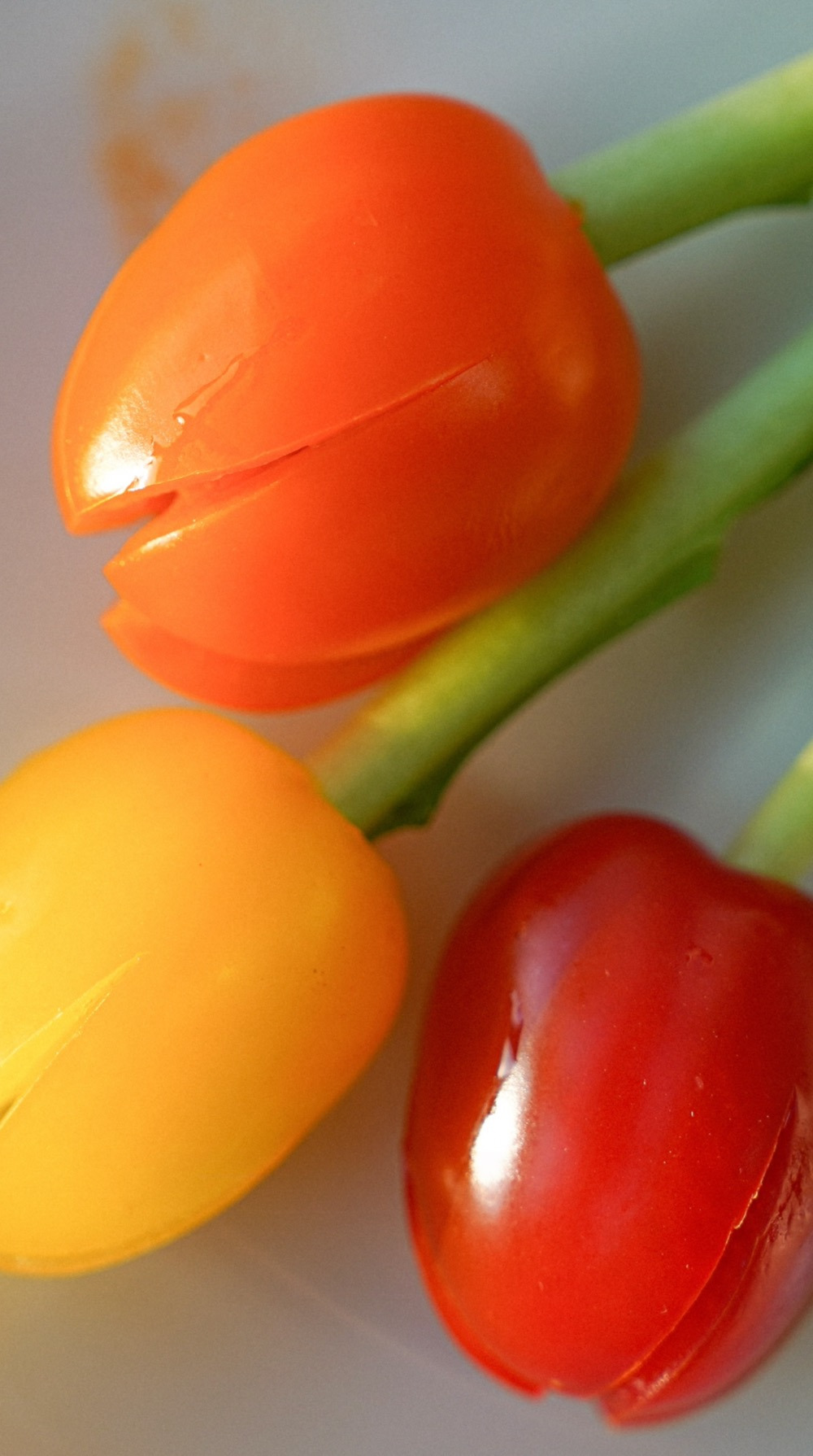 resize_Tomato tulips00002.jpg