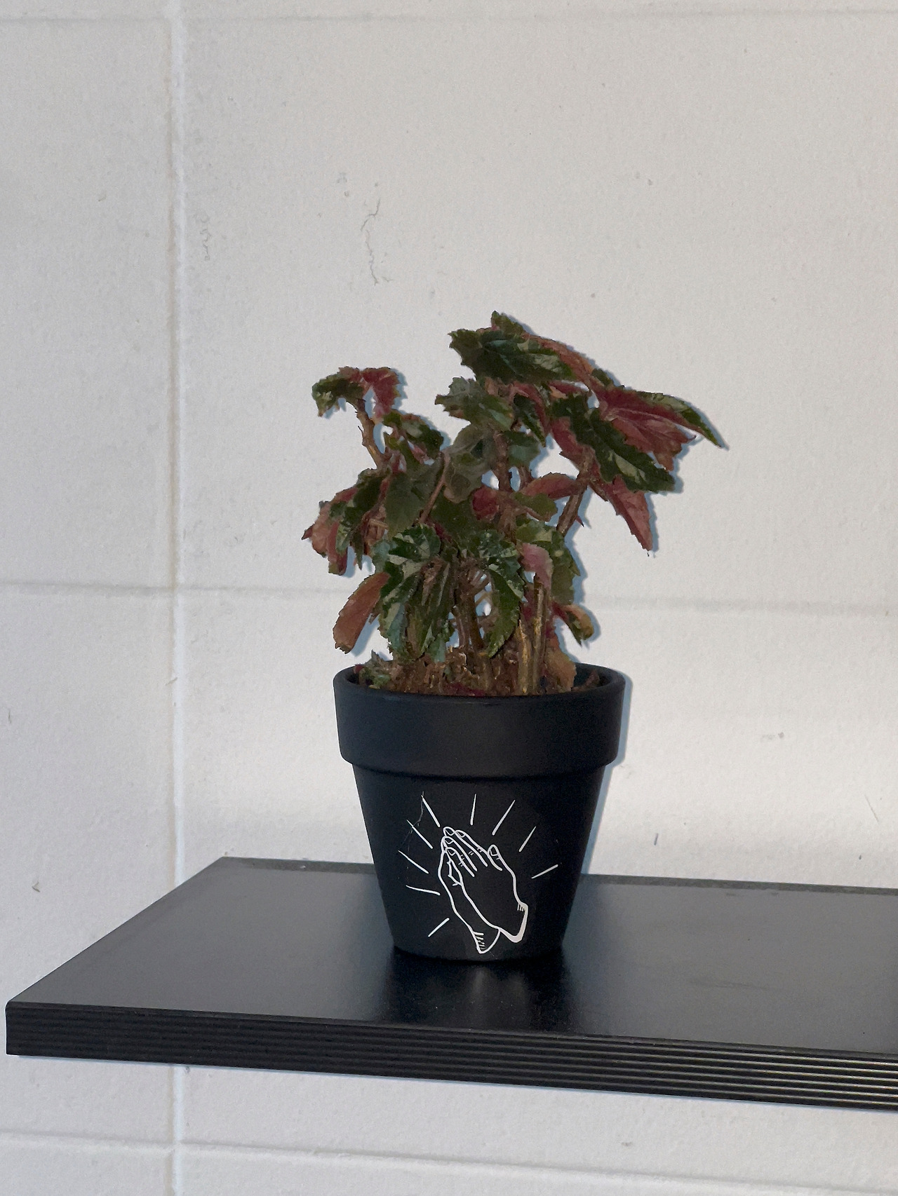 IMG_1255 복사본.jpg