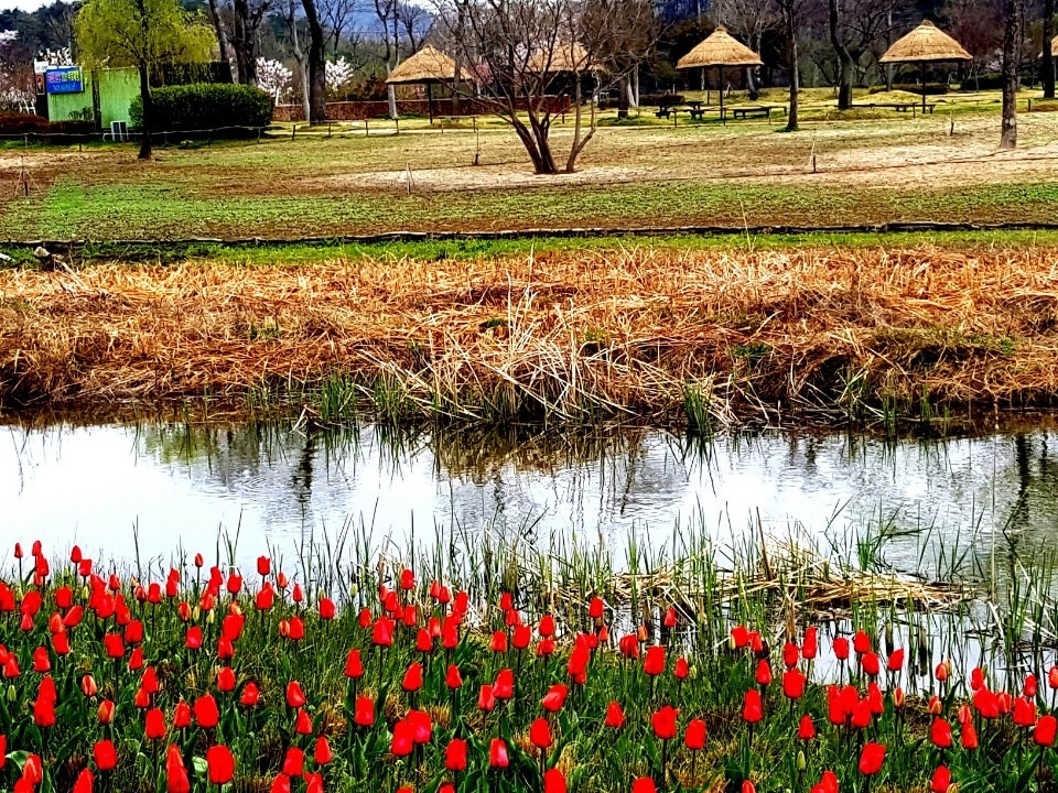 a_ebjUd018svcuxcyy7cyc6yf_tyuad5 (2).jpg