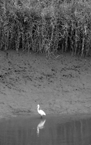 사본 -84-갈바람.jpg