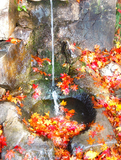 Rotation of DSCN3869(0)-1.jpg