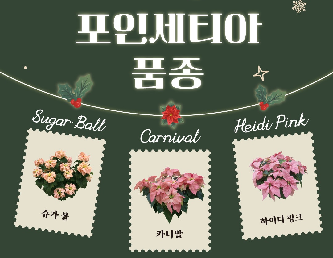 서울식물원 홈페이지 (1).jpg