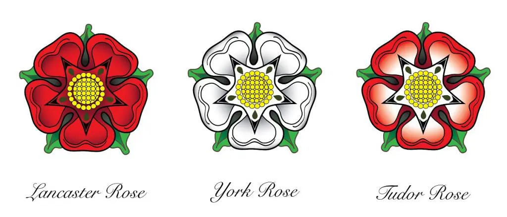 Tudor-rose-1024x438.jpg 튜더 로즈.jpg