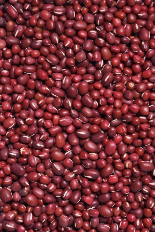 다운로드 (6).jpg