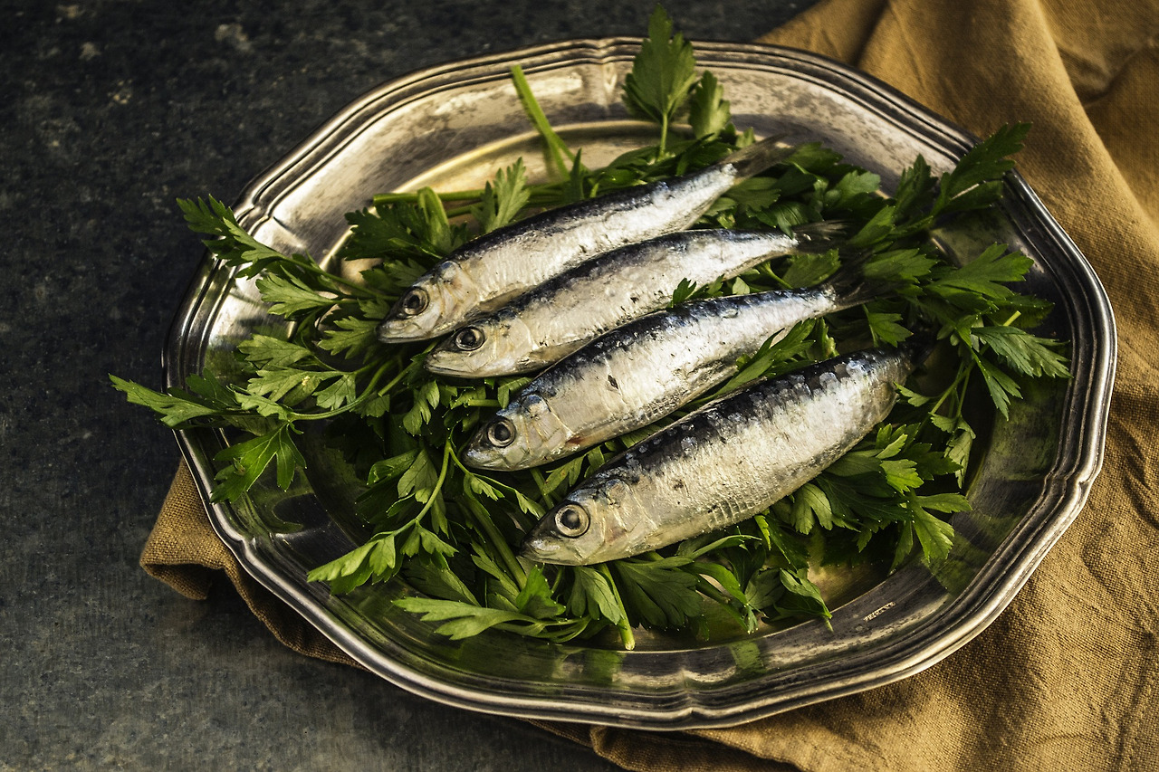sardines-1468422_1920.jpg