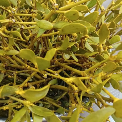 다운로드 (1).jpg