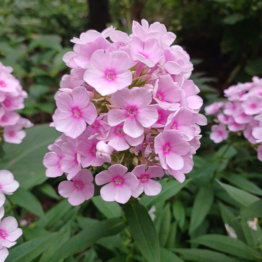 20220719＿183143 (1).jpg