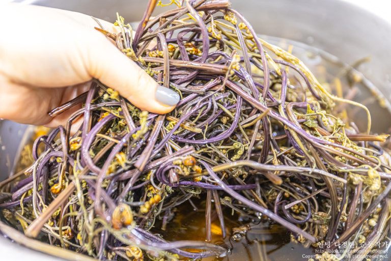 다운로드 (2).jpg