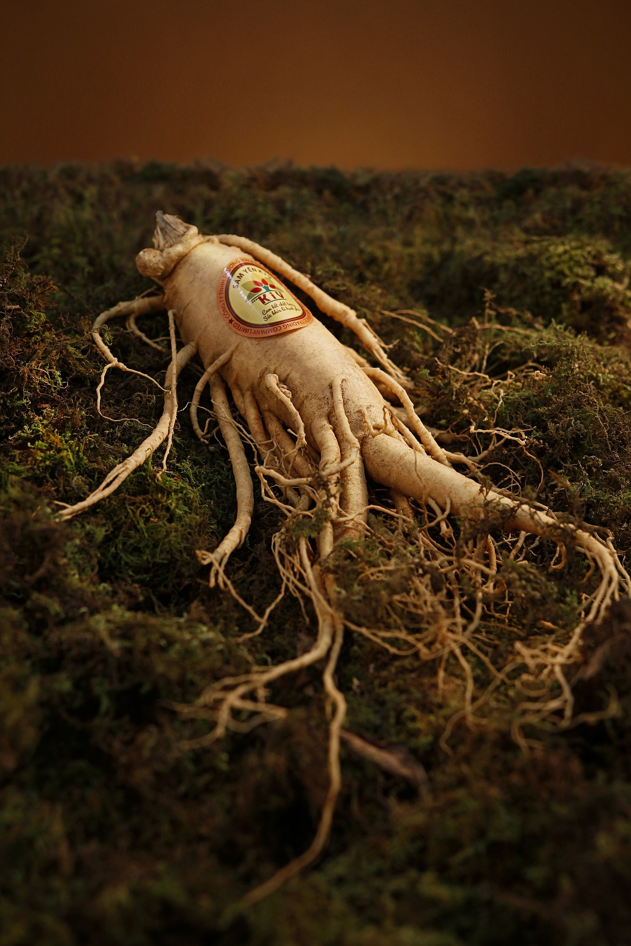 ginseng-1848303_1920.jpg