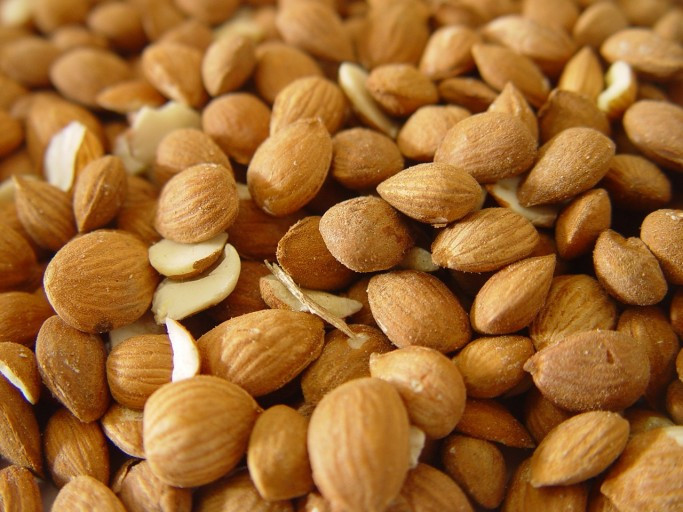 복숭아 씨앗.jpg