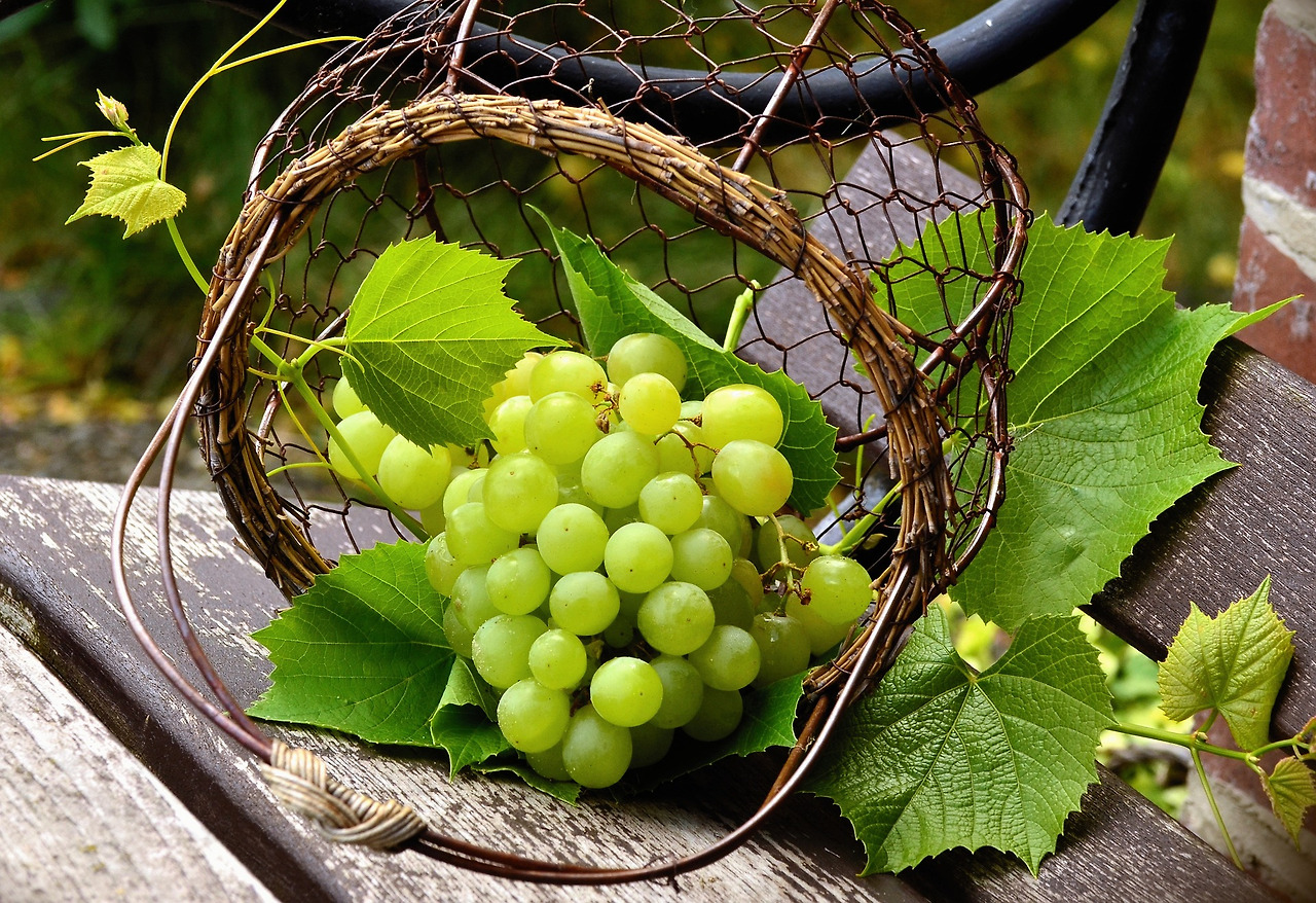 grapes-5145315_1920.jpg