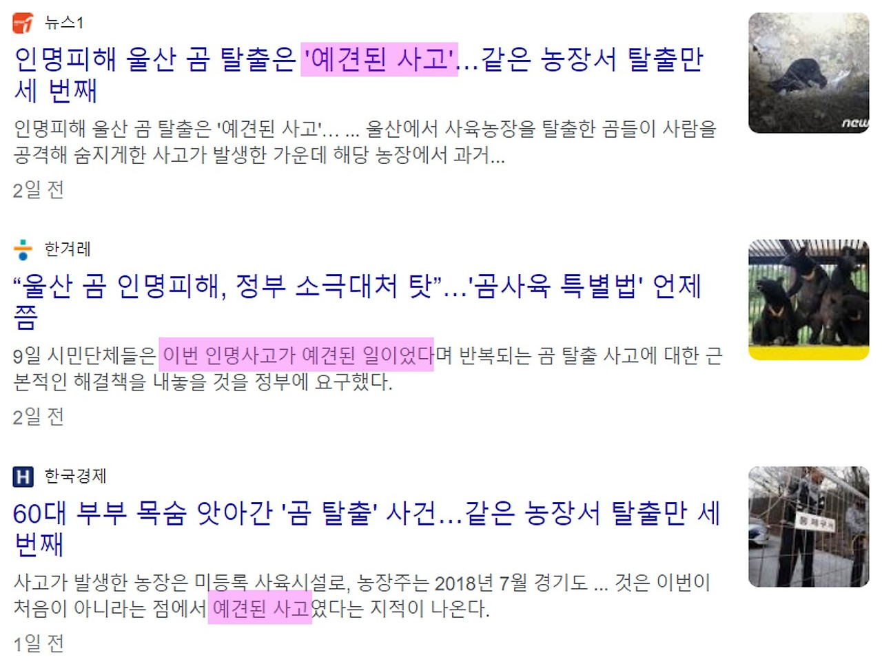 예견된 사고.jpg