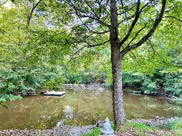 호숫가 풍경.jpg