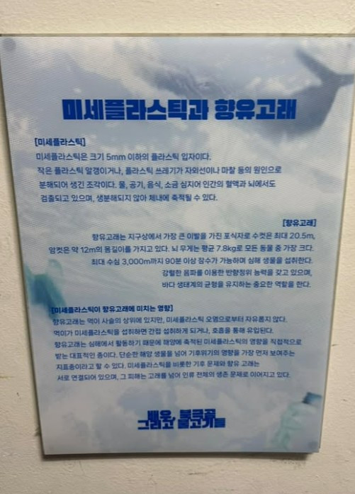 화면 캡처 2025-11-21 135027.jpg