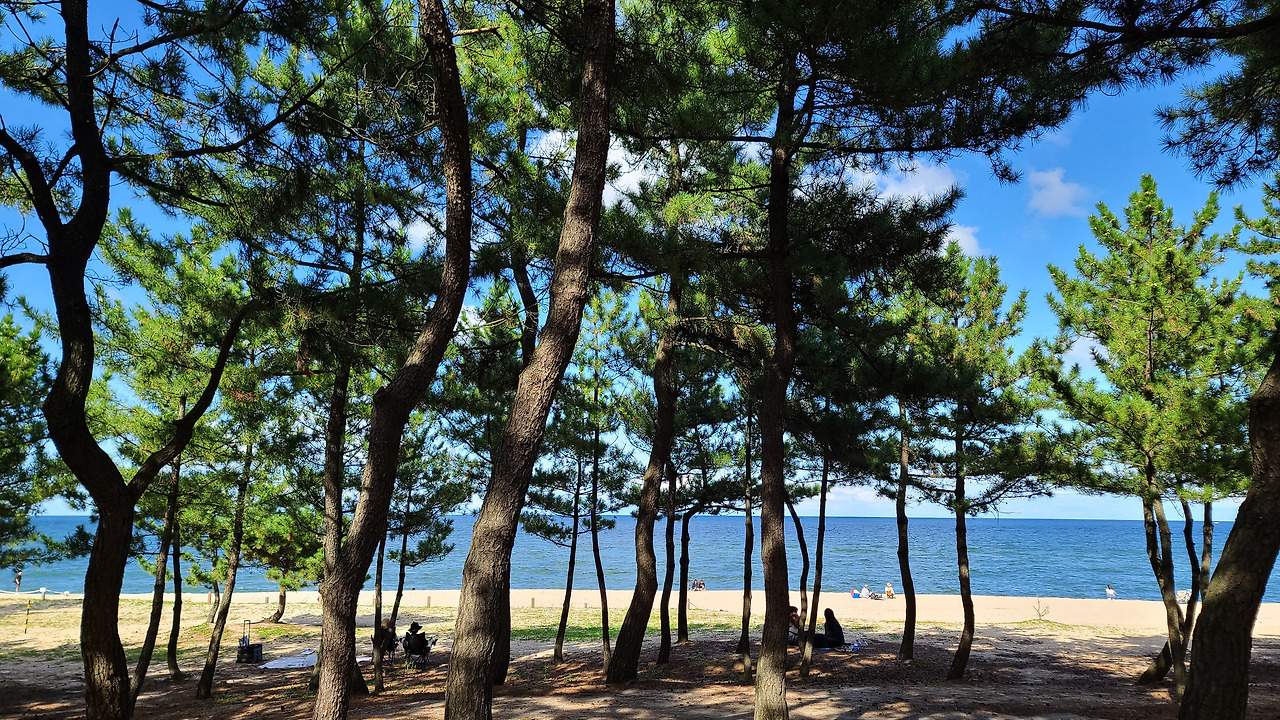 6코스 강릉 송정해안 드라이브길 (3).jpg