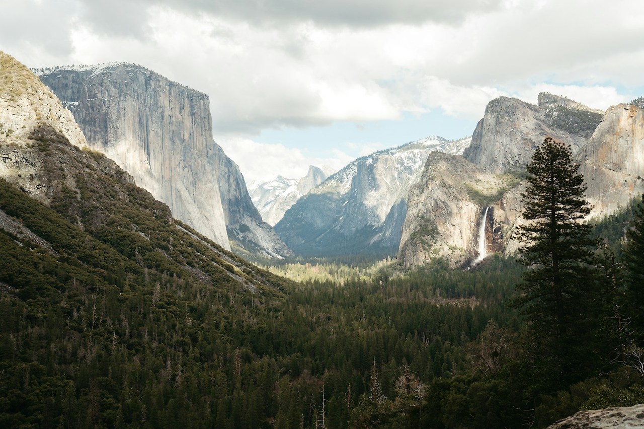 the-chaffins-EDAwcZLuY08-unsplash (1).jpg