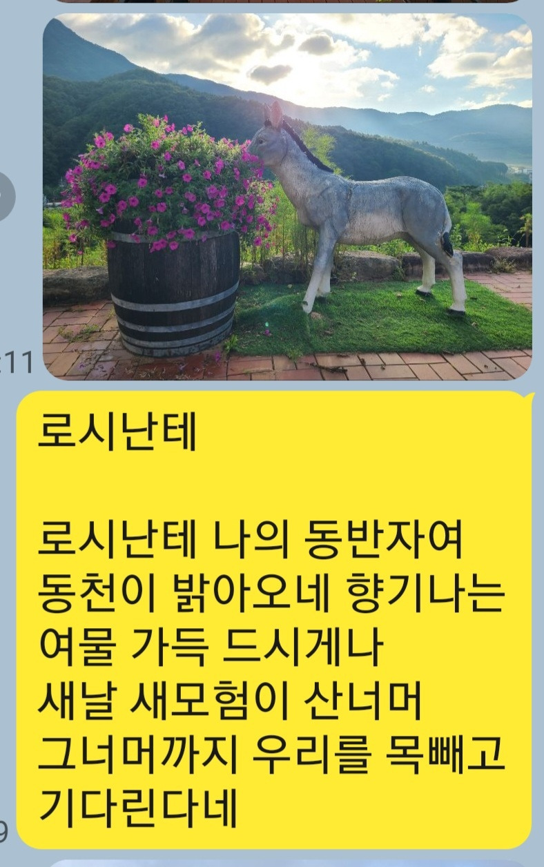 KakaoTalk_20250926_062412494.jpg