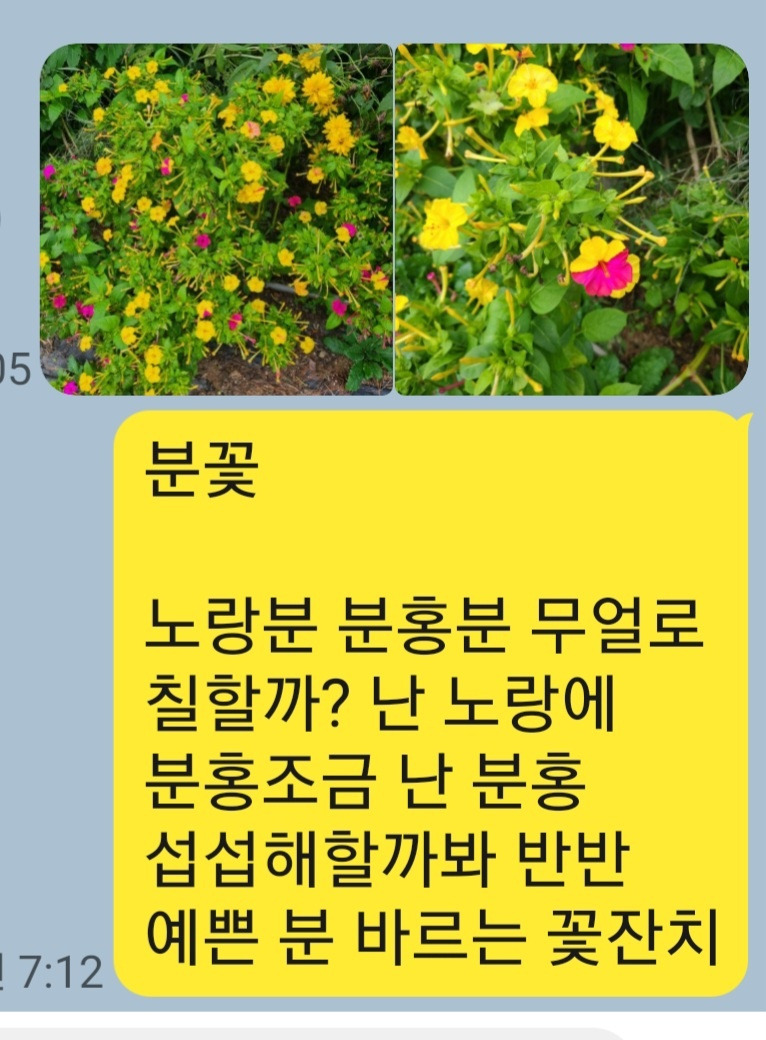 KakaoTalk_20250926_062542411.jpg