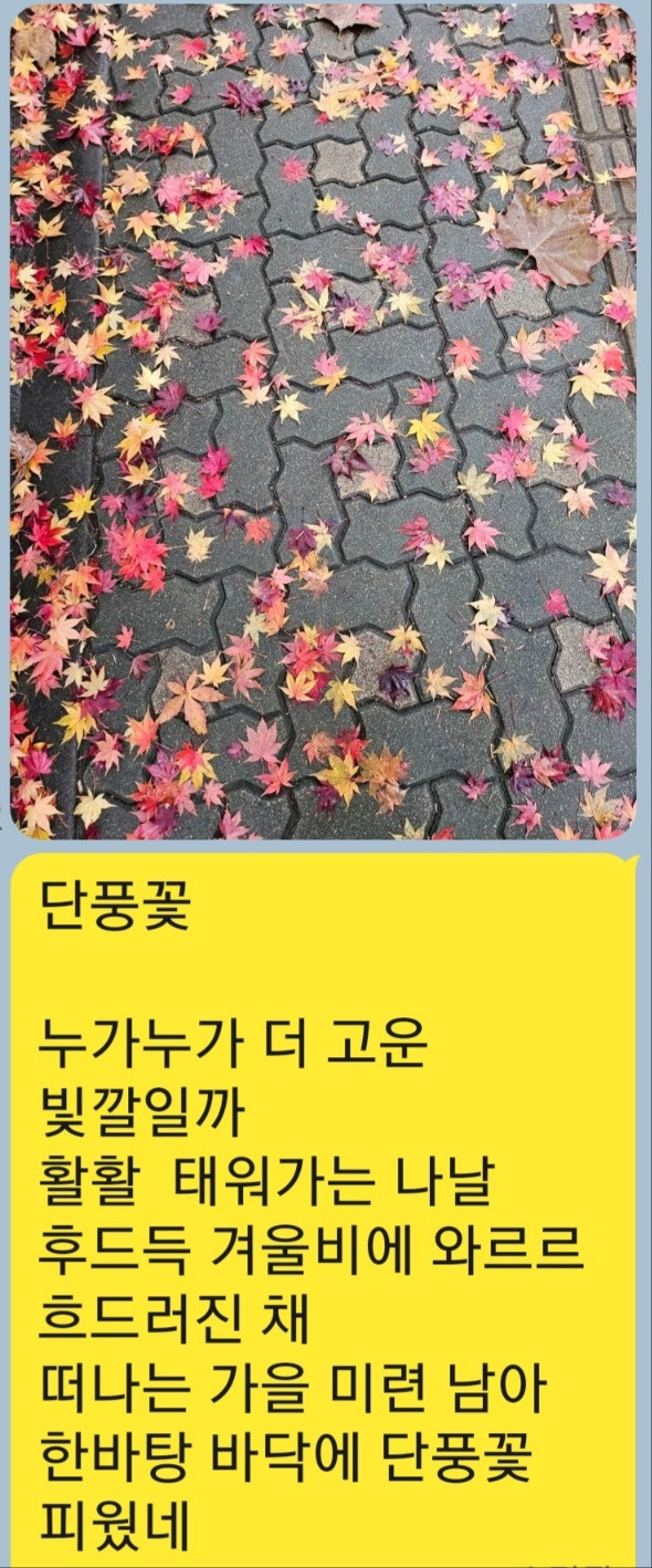 KakaoTalk_20251128_072729045.jpg
