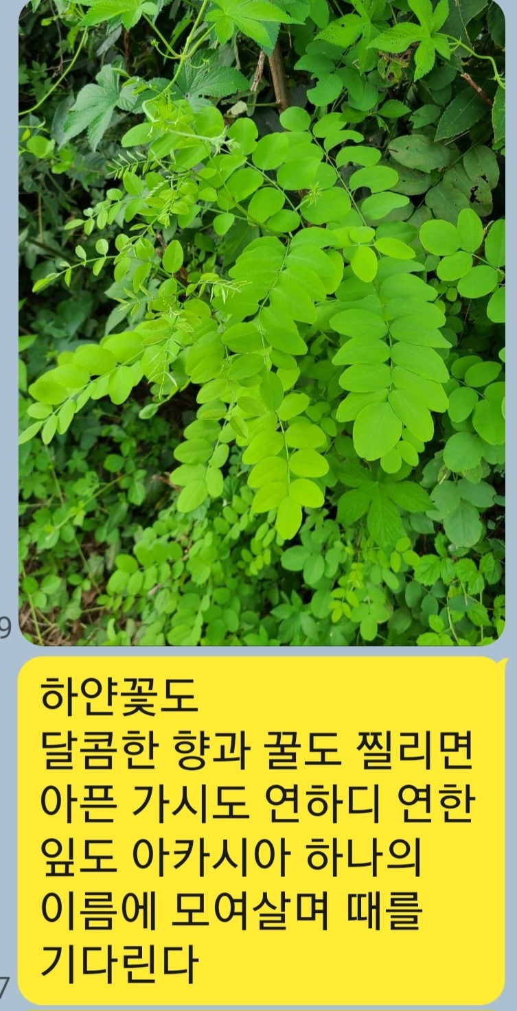 KakaoTalk_20250926_062353997.jpg