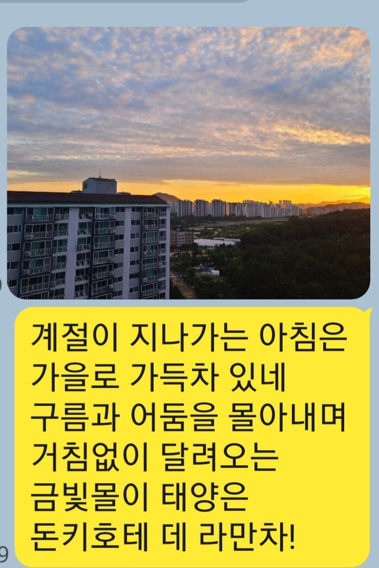 KakaoTalk_20250916_213432543.jpg
