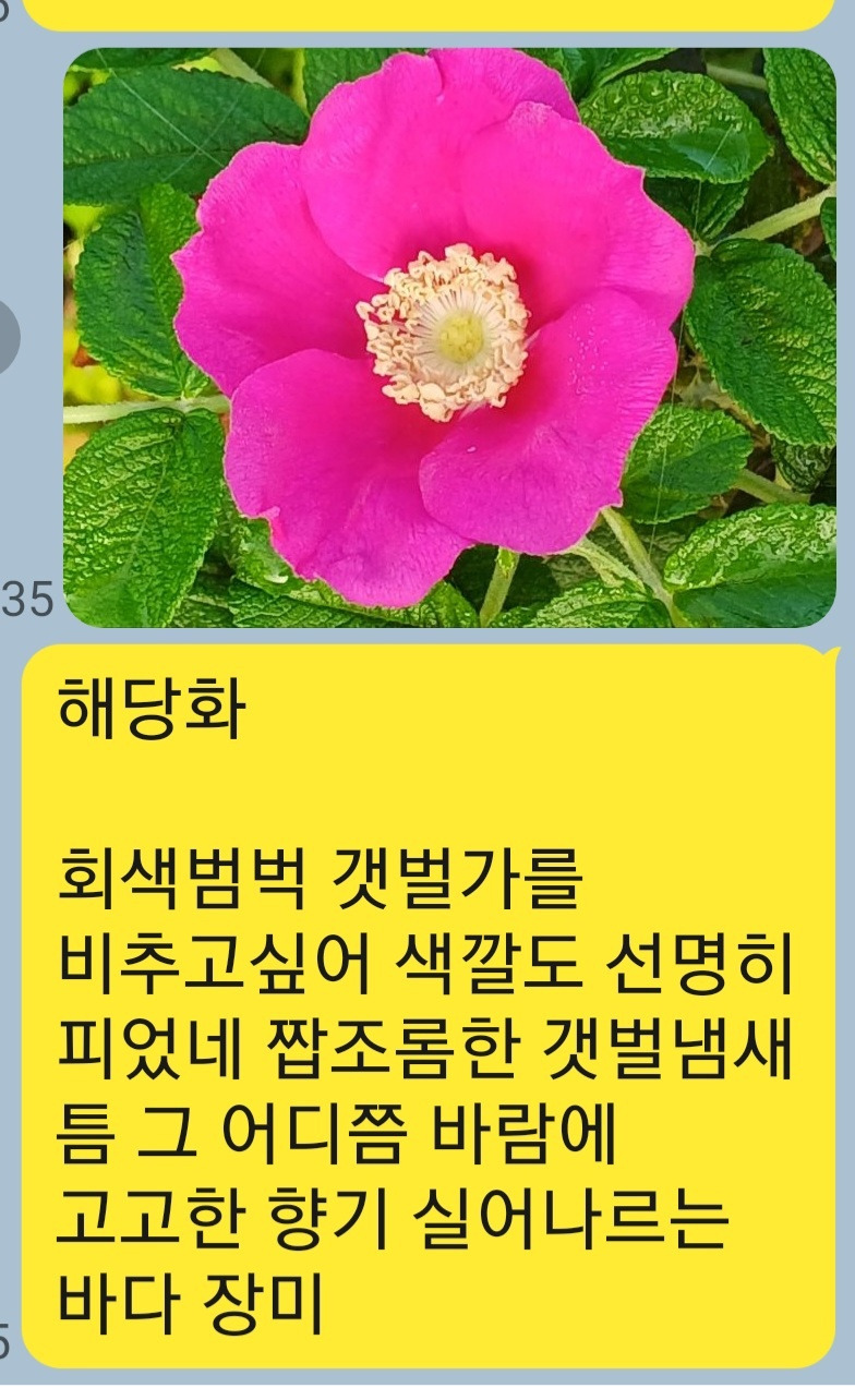 KakaoTalk_20250928_073130708.jpg