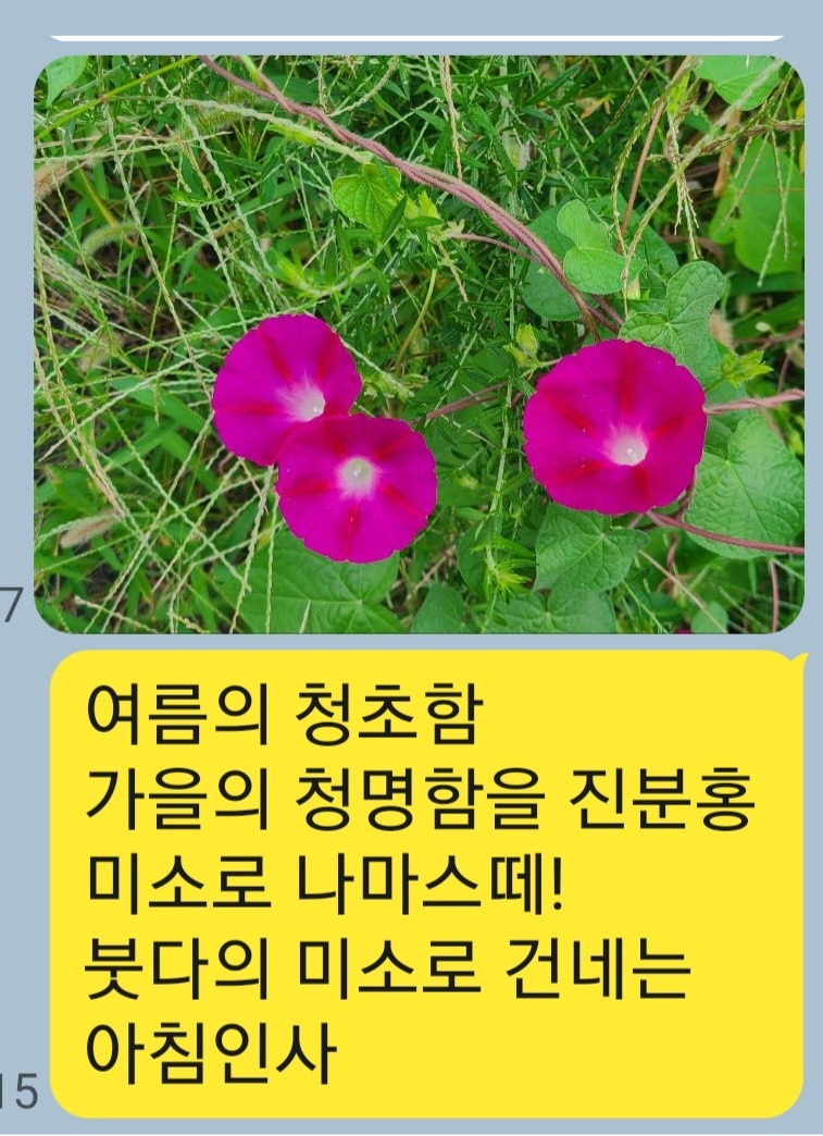 KakaoTalk_20250916_213243358.jpg