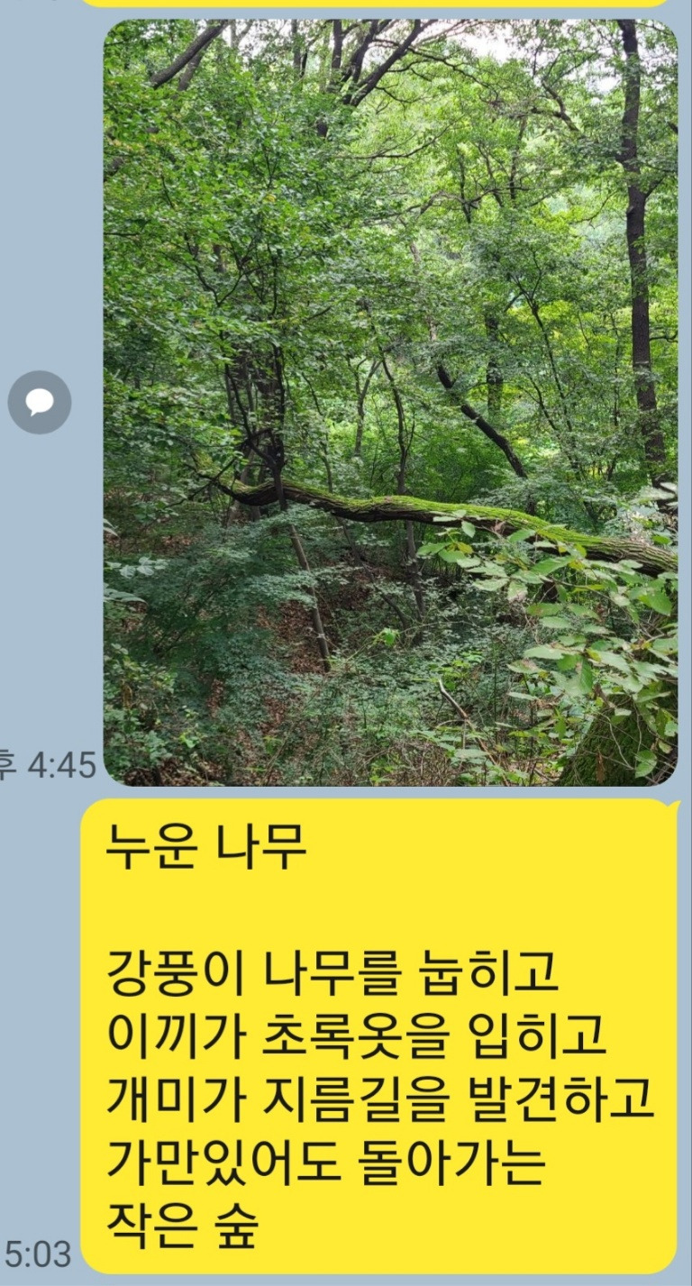 KakaoTalk_20250926_062344608.jpg