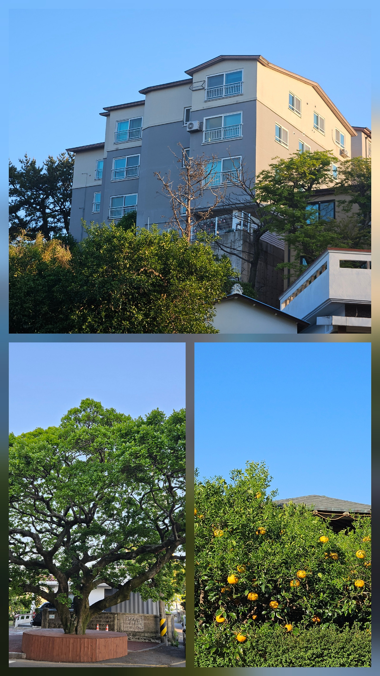 KakaoTalk_20250708_152255123_01 (1).jpg