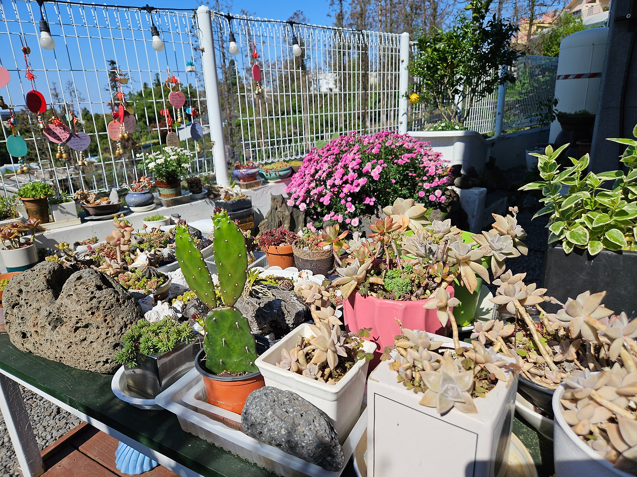 KakaoTalk_20250708_151549024_06 (1).jpg