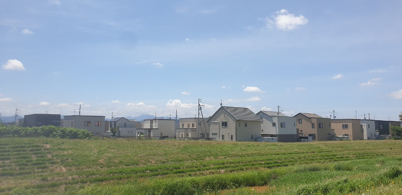 일본 지진 예언 날.jpg