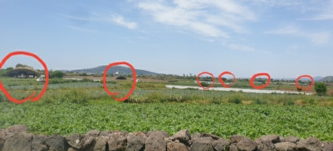 섯알오름 비행기 격납고.jpg