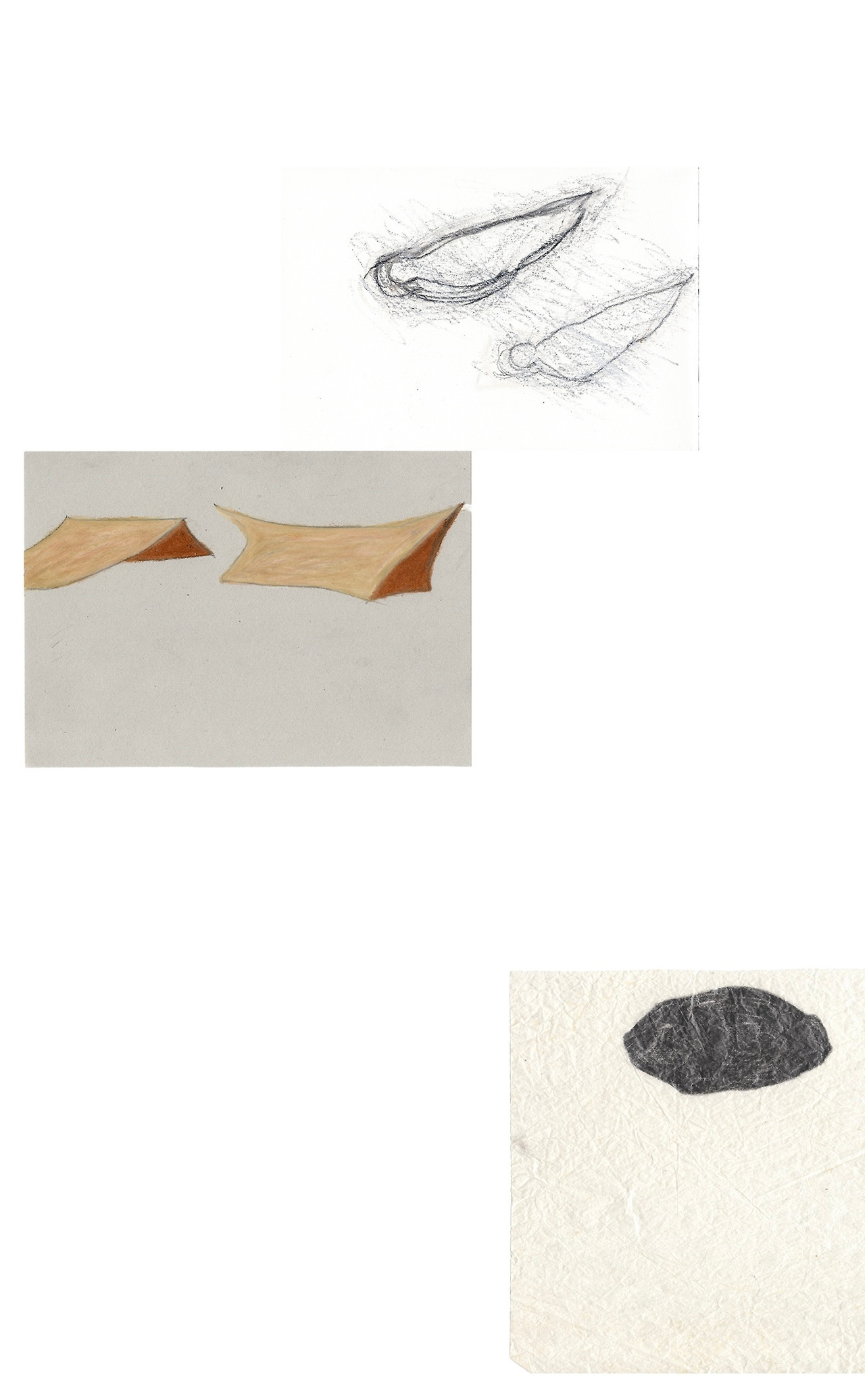 오른쪽에는 물고기와 산호가 왼쪽에는 거북이가 살고 있다3.jpg