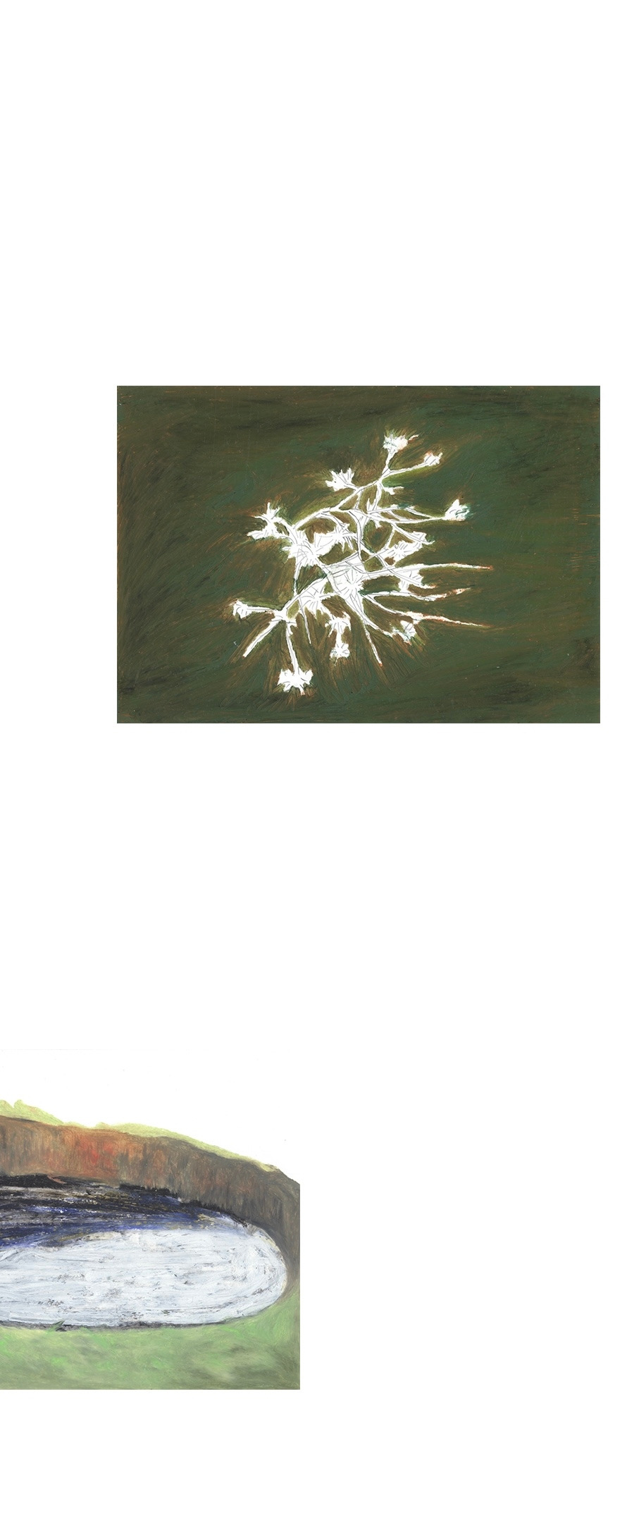 오른쪽에는 물고기와 산호가 왼쪽에는 거북이가 살고 있다 1.jpg